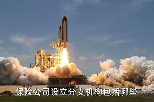 什么是分支機構(gòu)類型，公司的分支機構(gòu)是什么它和分公司子公司有什么區(qū)別