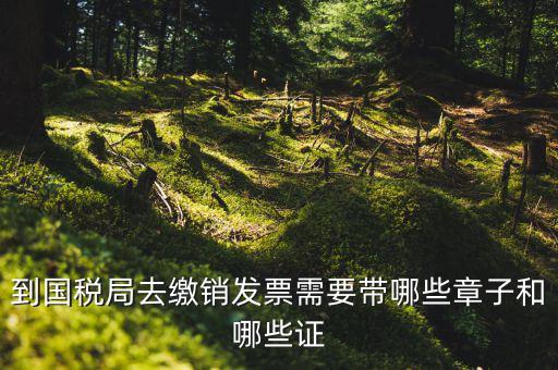 繳銷出口商品統(tǒng)一發(fā)票要蓋什么章，到國(guó)稅局去繳銷發(fā)票需要帶哪些章子和哪些證