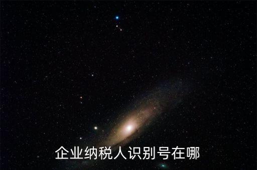 什么是企業(yè)識別號，購票企業(yè)識別號 是不是 我們企業(yè)的稅號
