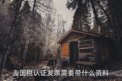 常州國稅認(rèn)證發(fā)票需要帶什么資料，去國稅認(rèn)證發(fā)票需要帶什么資料