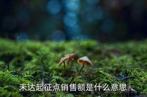 未達(dá)起征點(diǎn)銷售額是什么意思，未達(dá)起征點(diǎn)銷售額是什么意思