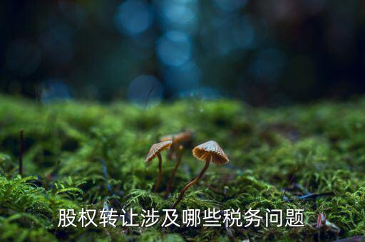 股份轉(zhuǎn)讓都涉及什么稅，個人股權(quán)轉(zhuǎn)讓涉及哪些稅