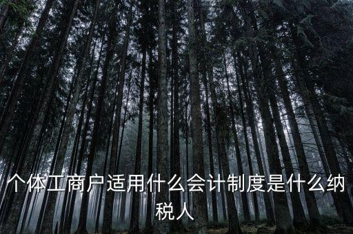 個(gè)體戶屬于什么納稅人，從事縫紉業(yè)務(wù)的個(gè)體戶屬于哪一類納稅人