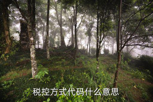 什么叫稅控碼，稅控方式代碼什么意思