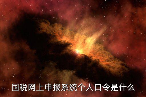國(guó)稅證書(shū)口令是什么意思，網(wǎng)上申報(bào)國(guó)稅系統(tǒng)登陸的口令是什么