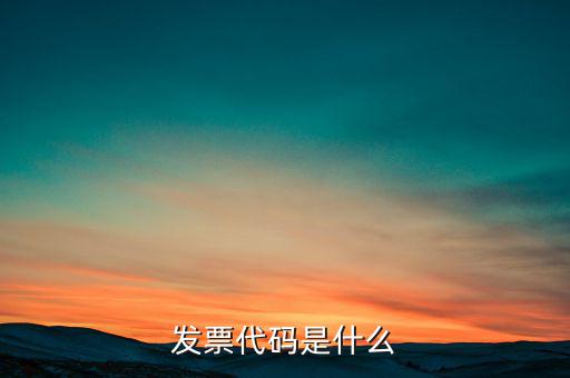 開(kāi)發(fā)票六位代碼是什么，增值稅專用發(fā)票6位開(kāi)票代碼是什么意思