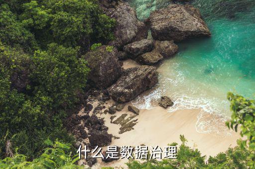 地稅 數(shù)據(jù)治理 是什么，什么是數(shù)據(jù)治理