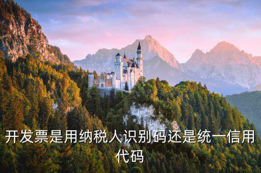 發(fā)票上的信用代碼是什么，現(xiàn)在開發(fā)票要的社會(huì)信用代碼是誰的代碼