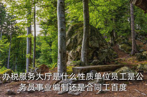 什么是辦稅服務(wù)大廳，辦稅服務(wù)廳的基本服務(wù)包括哪些