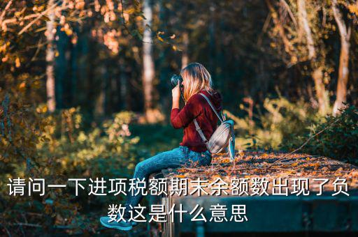 實(shí)際抵扣稅額為負(fù)數(shù)說明什么，實(shí)際抵扣稅額能為負(fù)數(shù)嗎