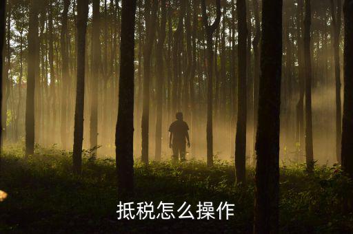 辦理抵稅流程是什么，電子稅務局退抵稅流程
