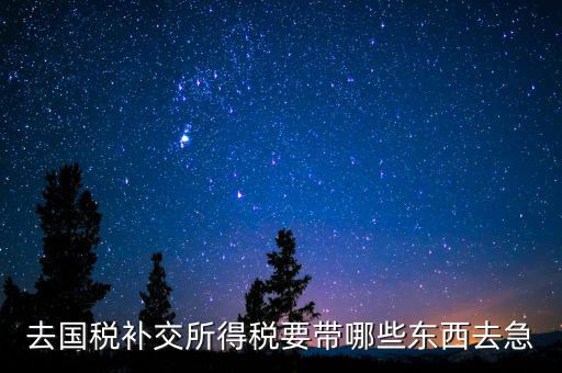 去國(guó)稅補(bǔ)繳增值稅要帶什么，增值稅零申報(bào)逾期申報(bào)了48天 到國(guó)稅補(bǔ)申報(bào)需要準(zhǔn)備什么資料 帶什么