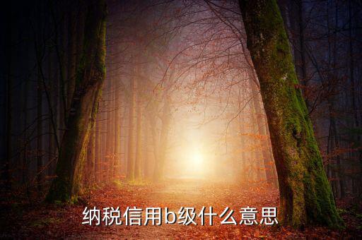 國稅信用評(píng)級(jí)是b 是什么意思，納稅信用等級(jí)評(píng)定為B級(jí) 什么意思呢有什么說法嗎