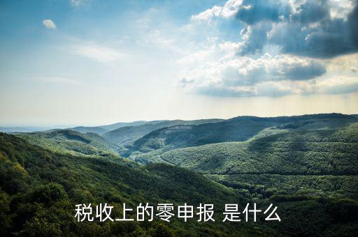 什么叫免于零申報(bào)，小規(guī)模納稅人 要增值稅納稅申報(bào) 但是每次都為零申報(bào)