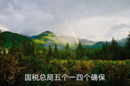 稅務局五個一是什么意思，國稅總局五個一四個確保