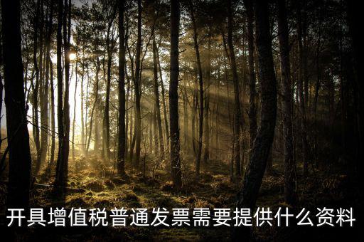 開增值稅提供什么資料，開具增值稅普通發(fā)票需要提供什么資料