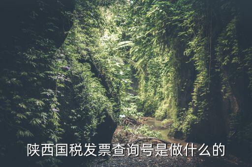發(fā)票查詢號是什么，發(fā)票查詢碼是什么 陜西地稅查詢輸入了發(fā)票代碼發(fā)票號碼后