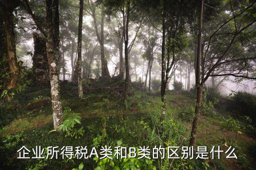 所得稅b類(lèi)申報(bào)表是什么，企業(yè)所得稅申報(bào)表A與B有什么區(qū)別