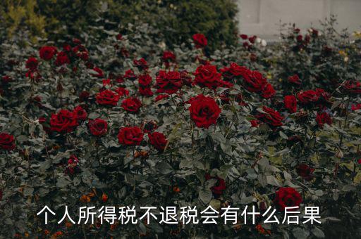 所得稅多交沒有退抵稅會有什么問題，個人所得稅不退稅會有什么后果