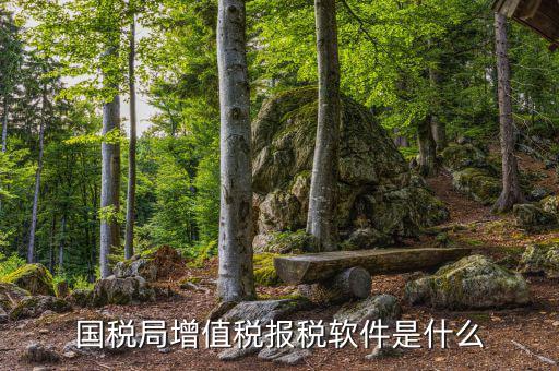 網(wǎng)上報稅國稅什么小工具，如何在網(wǎng)上報稅國稅 要怎么操作