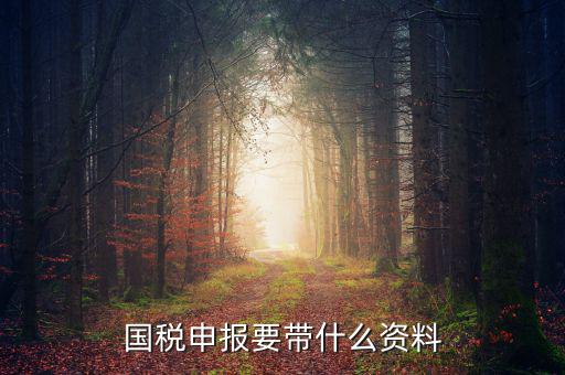 國稅注冊需要什么資料，國稅登記需要帶什么資料