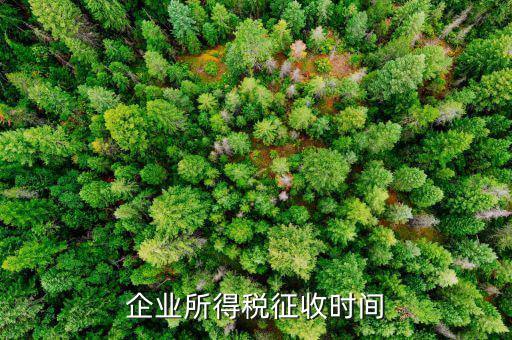 企業(yè)所稅的征收方式什么時候改，企業(yè)所得稅征收時間