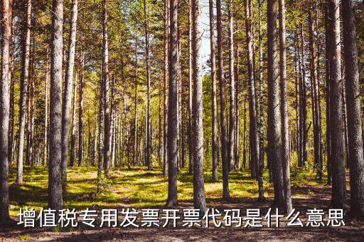 開(kāi)票人代碼是什么，開(kāi)票人代碼是什么