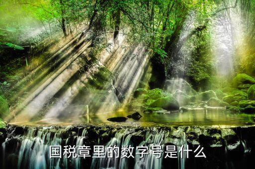 發(fā)票專用章中間的數(shù)字是什么，國(guó)稅章里的數(shù)字號(hào)是什么