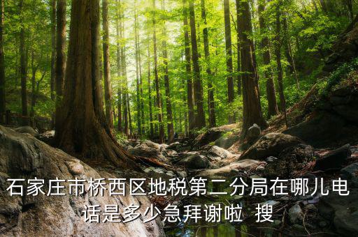 地稅二分局是做什么的，地稅科查局是做什么的
