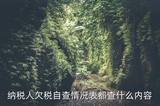 重點(diǎn)納稅人走訪情況表是什么，納稅人自查情況說明表里各項(xiàng)都填什么