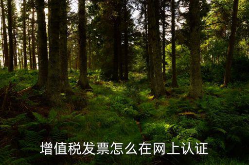 發(fā)票認證需要什么軟件下載，國稅發(fā)票認證需要準備那些資料 到大廳辦的時候工作人員叫我拿U盤