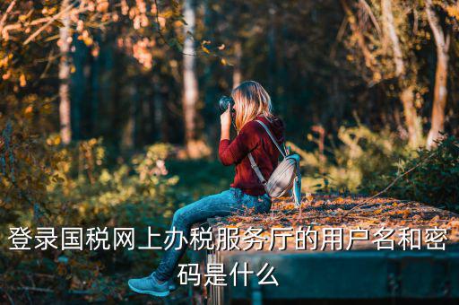 陜西電子稅務(wù)局登錄賬號(hào)是什么，登錄國(guó)稅網(wǎng)上辦稅服務(wù)廳的用戶名和密碼是什么