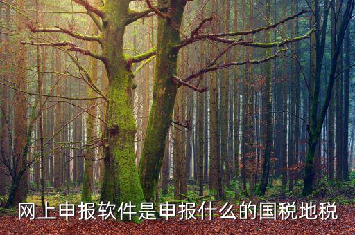 國稅微信申報什么意思，國稅網(wǎng)上申報怎么回事