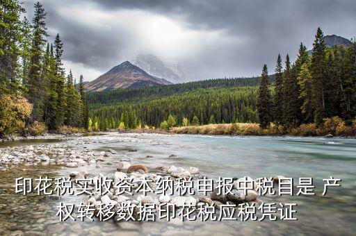 印花稅實(shí)收資本納稅申報中稅目是 產(chǎn)權(quán)轉(zhuǎn)移數(shù)據(jù)印花稅應(yīng)稅憑證