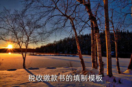 稅收繳款書字軌是什么，什么是文書字軌