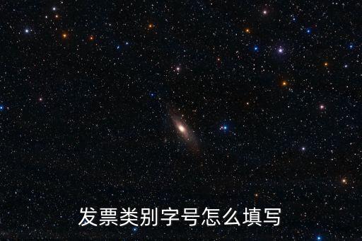 餐飲發(fā)票是什么字體，發(fā)票類別字號怎么填寫