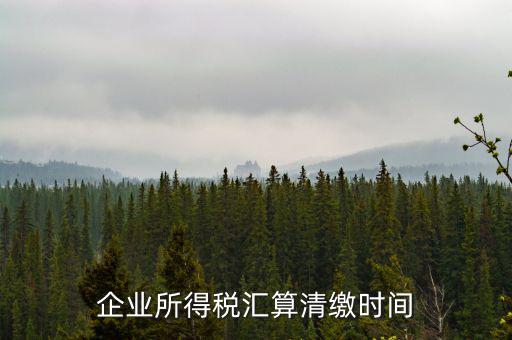 匯算清繳什么時(shí)候，個(gè)人所得稅匯算清繳的時(shí)間一定是次年的3月31日前