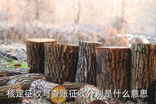 什么企業(yè)實(shí)行核定征收，企業(yè)所得稅可以核定征收嗎