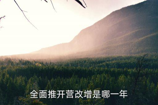 17年?duì)I改增改了什么時(shí)候，全面推開營(yíng)改增是哪一年