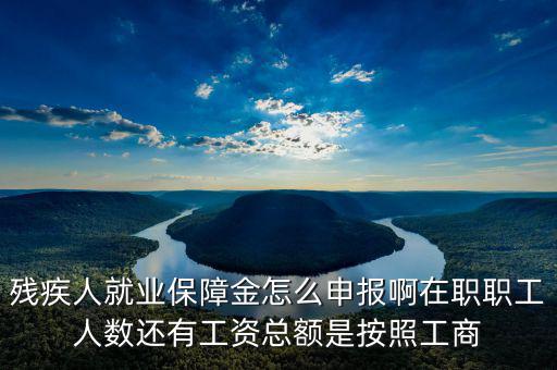 殘疾保證金什么申報，殘疾人就業(yè)保障金怎么申報啊在職職工人數(shù)還有工資總額是按照工商