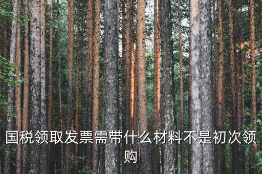 國稅領發(fā)票需要帶什么，去稅務局領發(fā)票需要帶什么資料去