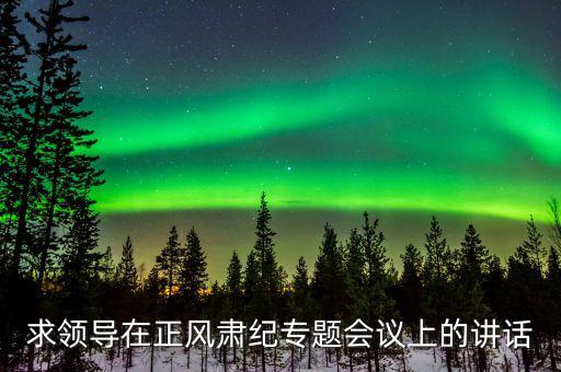 正風(fēng)肅紀(jì)講話什么意思，求領(lǐng)導(dǎo)在正風(fēng)肅紀(jì)專題會(huì)議上的講話