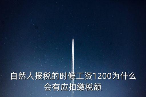 自然人報(bào)稅為什么，自然人辦稅服務(wù)平臺(tái)實(shí)名注冊(cè)的目的是什么