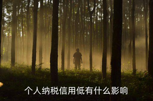 納稅信用記錄是什么，金稅三期納稅信用管理是什么意思