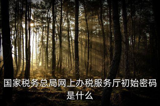 江蘇地稅登錄密碼是什么意思，江蘇地稅開票密碼是多少