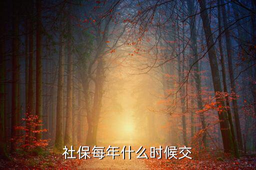 社保費(fèi)每年什么時(shí)候交，社保每年什么時(shí)候交