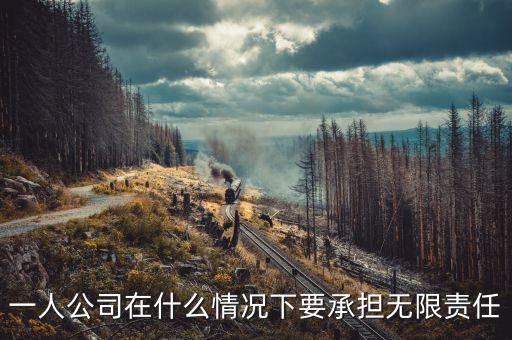 什么人承擔(dān)無限納稅義務(wù)，什么人不用納稅