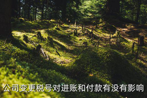 換稅號注意什么，公司變更稅號對進(jìn)賬和付款有沒有影響