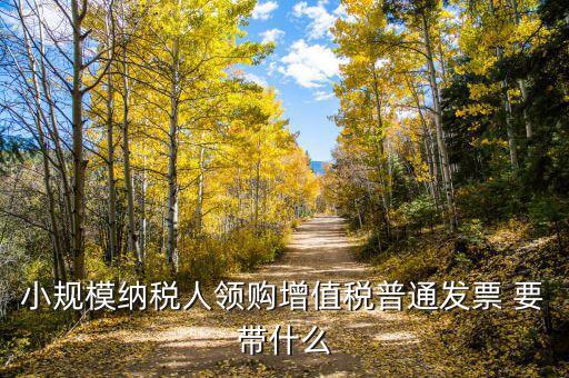 領(lǐng)增值稅普通發(fā)票需要什么資料，小規(guī)模納稅人領(lǐng)購增值稅普通發(fā)票 要帶什么
