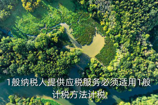 是否適用一般計(jì)稅方法是什么意思，1般納稅人提供應(yīng)稅服務(wù)必須適用1般計(jì)稅方法計(jì)稅